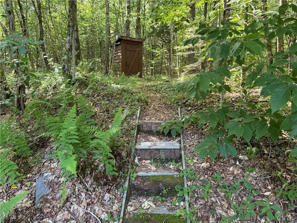 Picture 6
