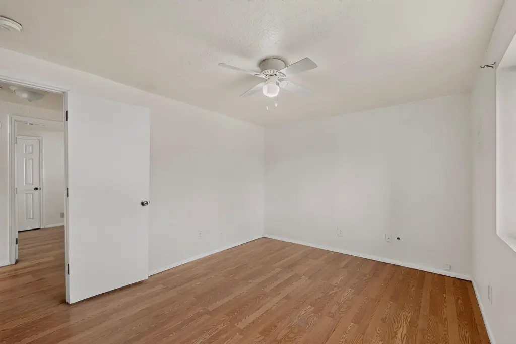 Picture 12