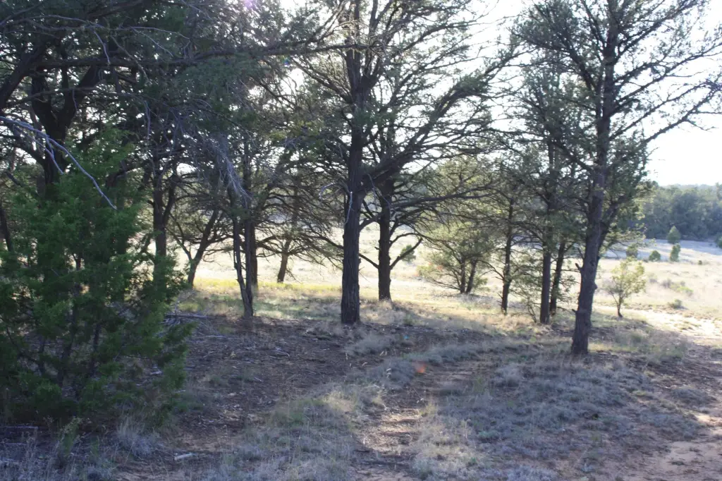 Picture 10
