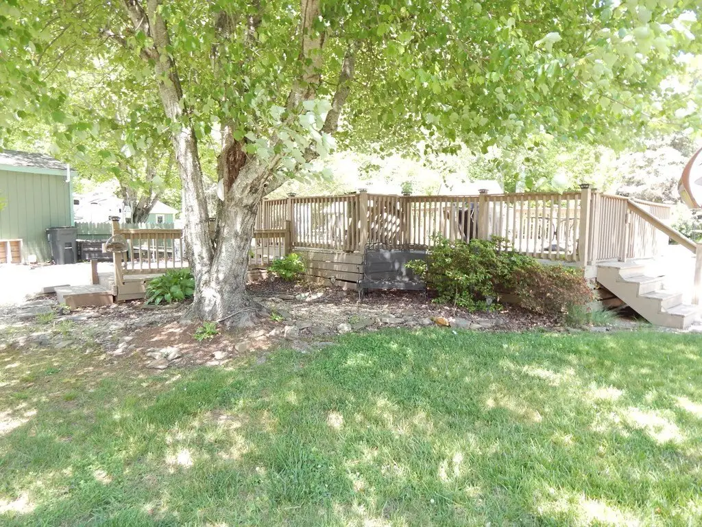 Picture 5
