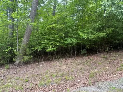 Hayesville, NC Vacant Lot