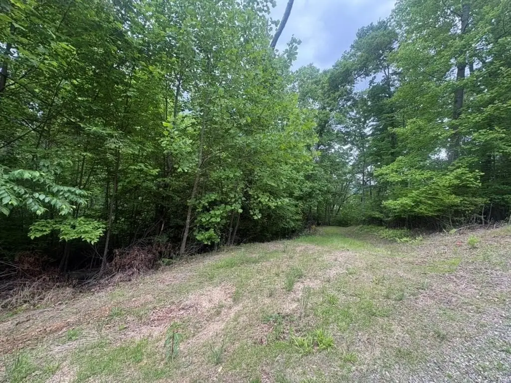 Picture 4