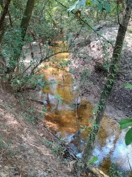 121 Acre Country Retreat