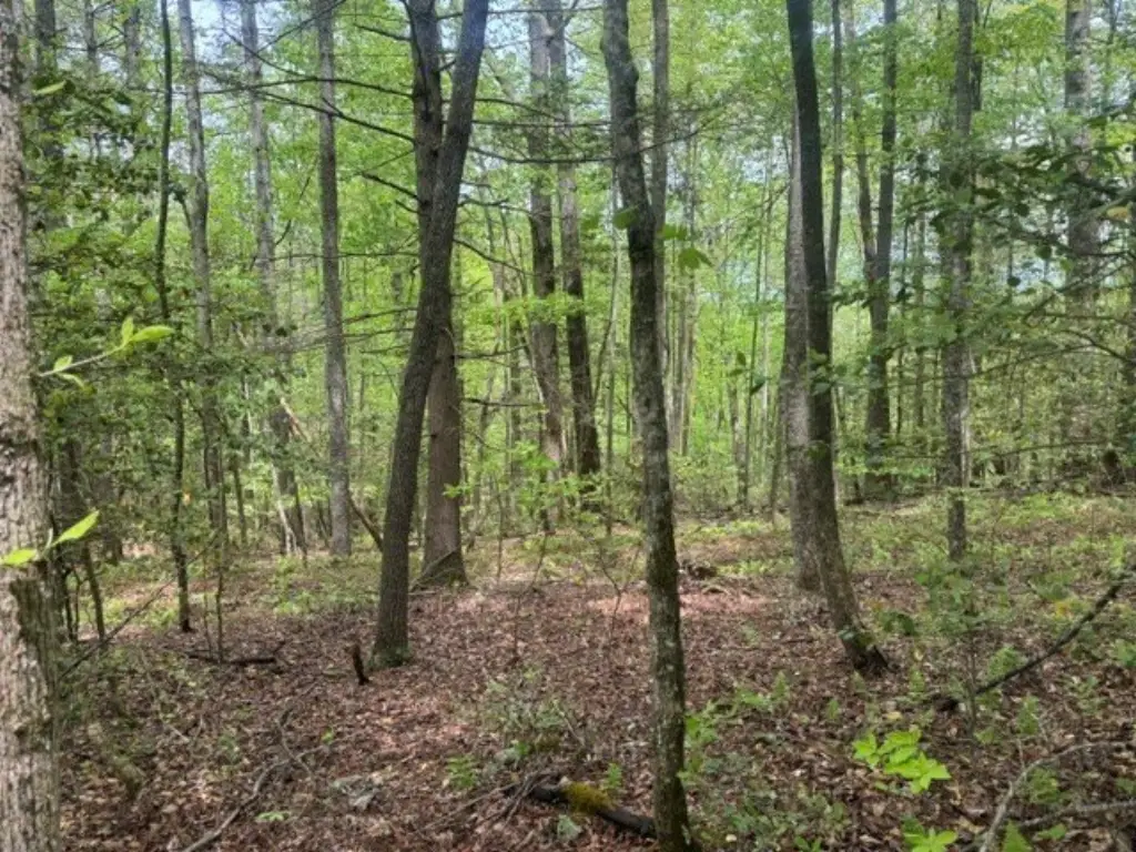 Picture 16