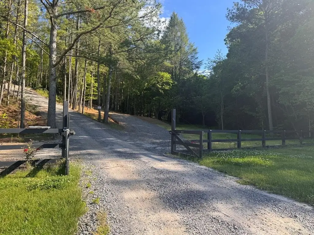 Picture 21