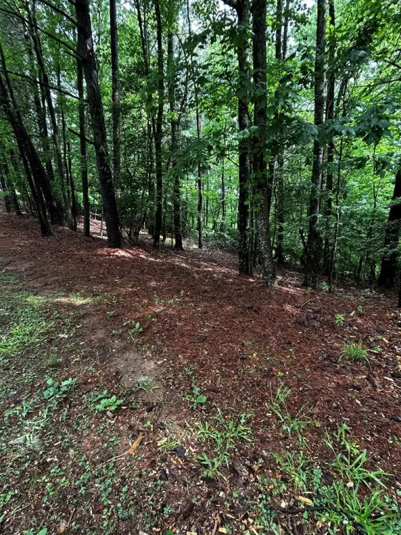 Picture 2