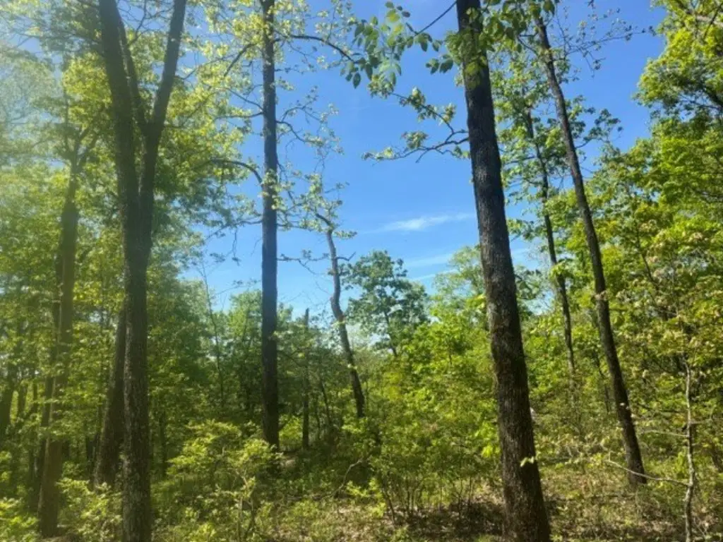 Picture 11