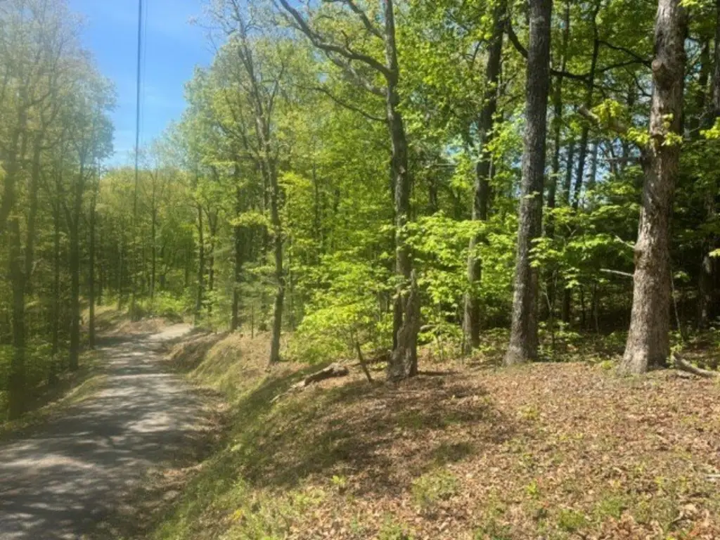 Picture 16