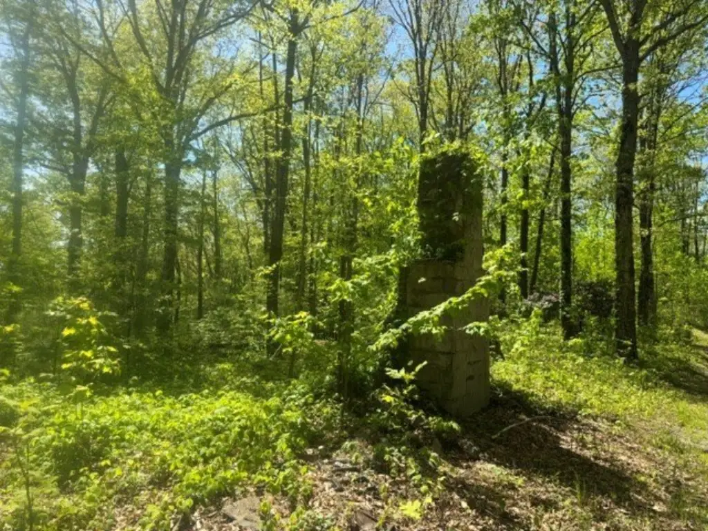 Picture 14