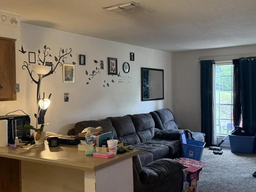 Picture 11