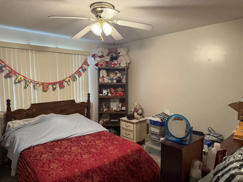 Picture 15