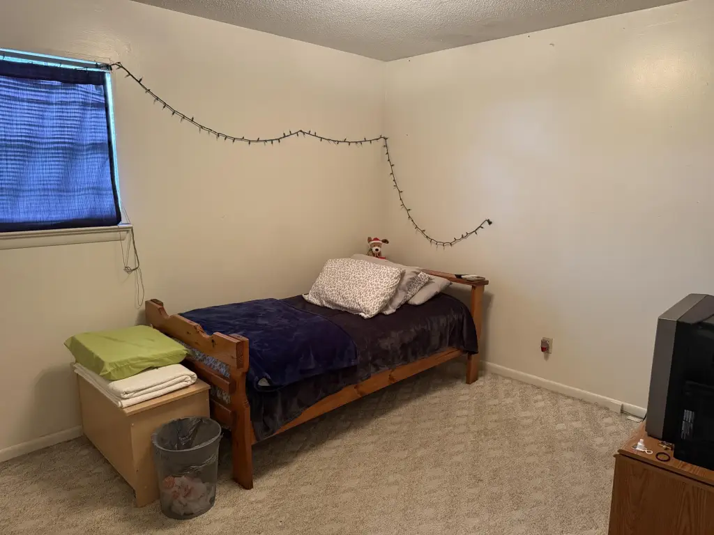 Picture 17
