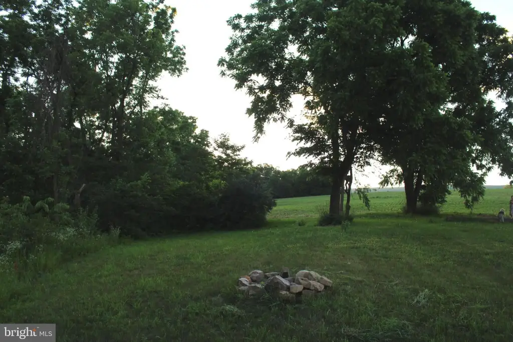 Picture 15