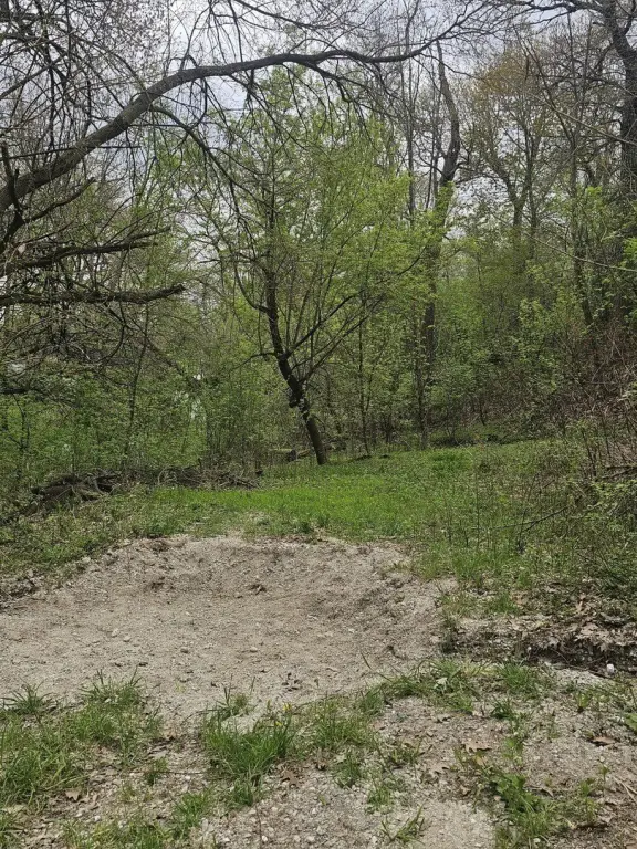 Picture 6
