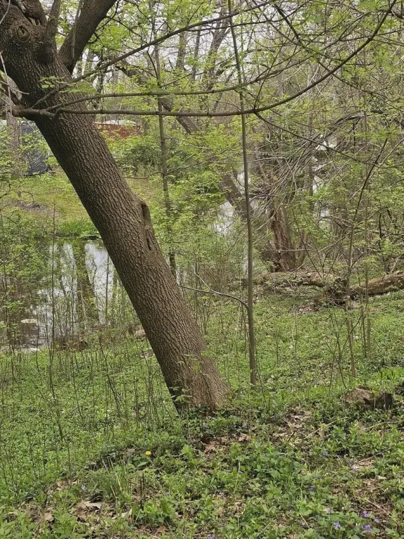 Picture 8