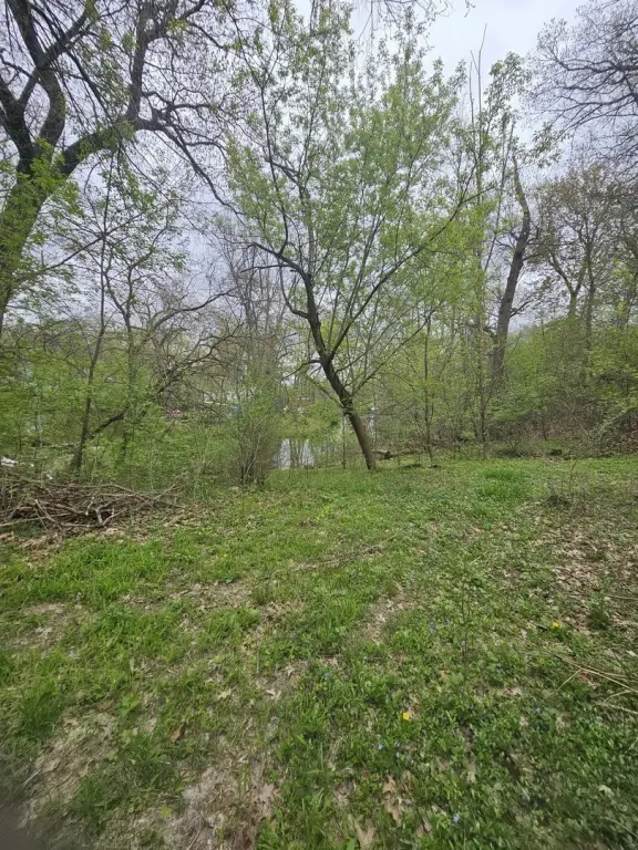 Picture 5