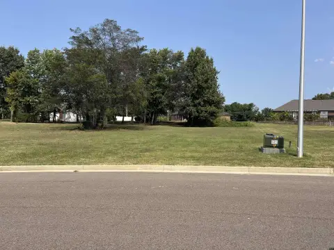 Residential Building Lots in Union City