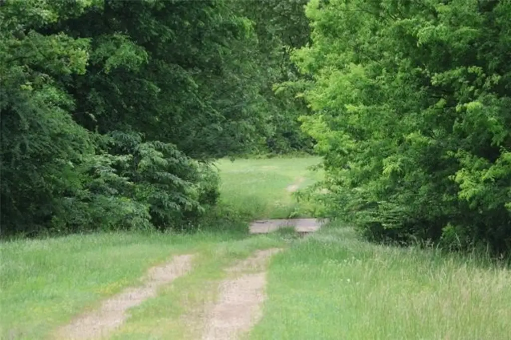 Picture 8