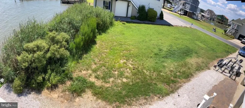 Picture 14