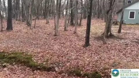 Land in Mt Pocahontas