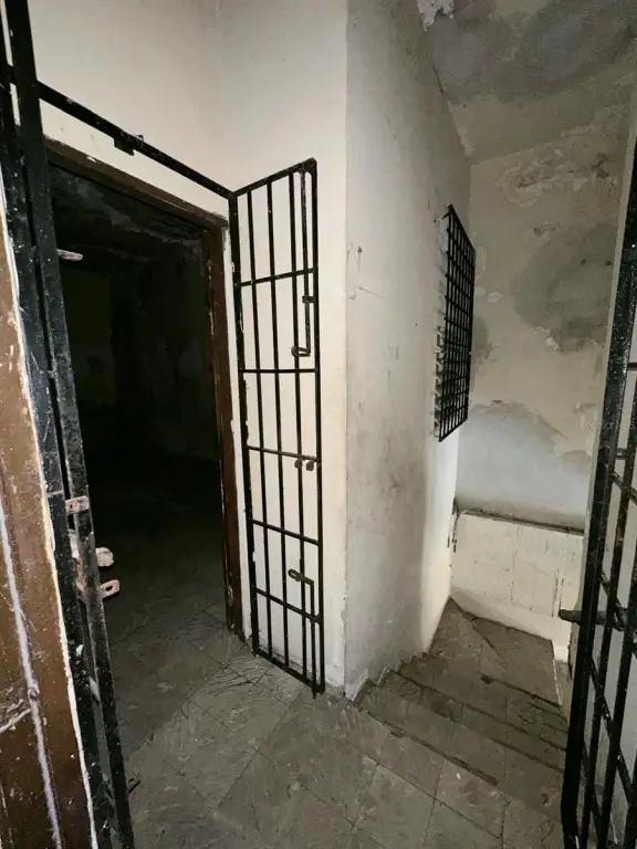 Picture 26