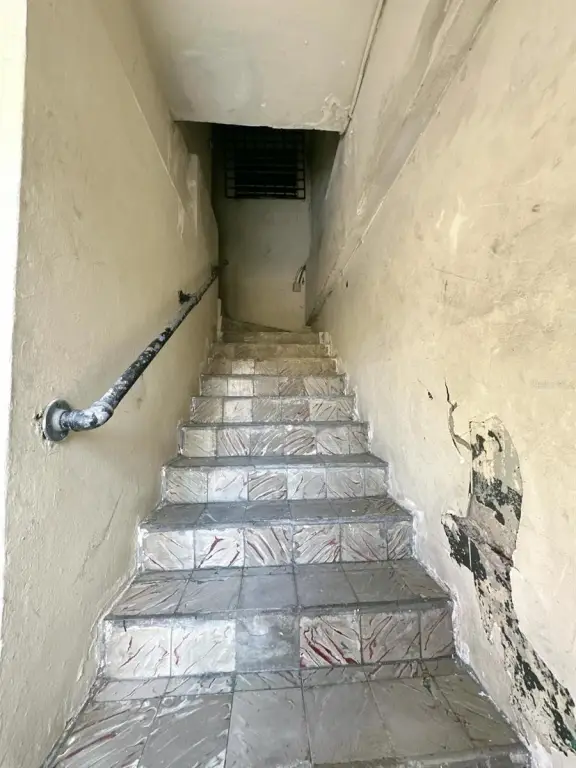 Picture 27