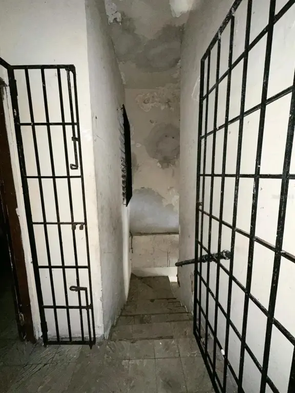 Picture 25