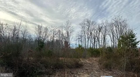 Buildable Lot Near Lake Anna