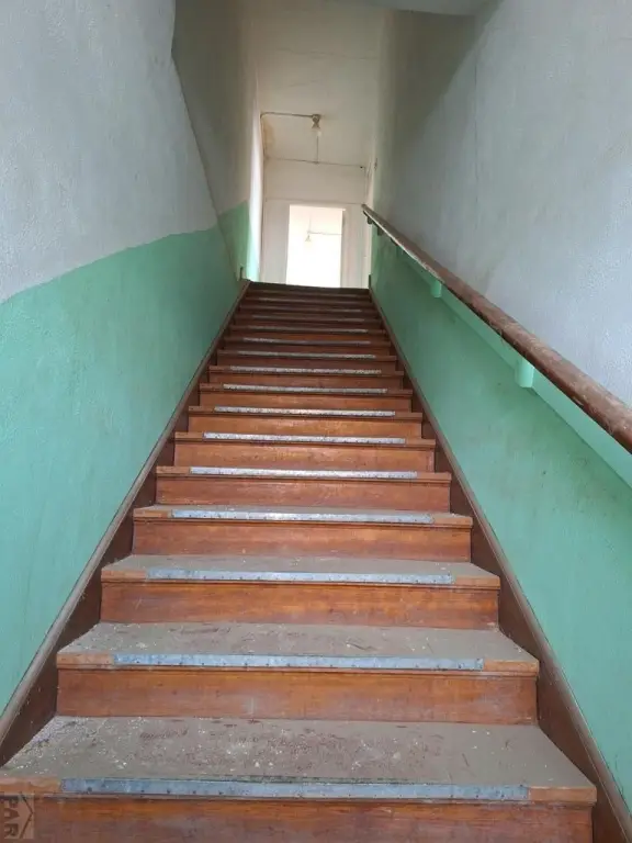 Picture 15
