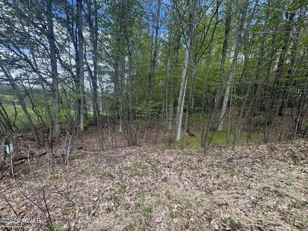 Picture 16