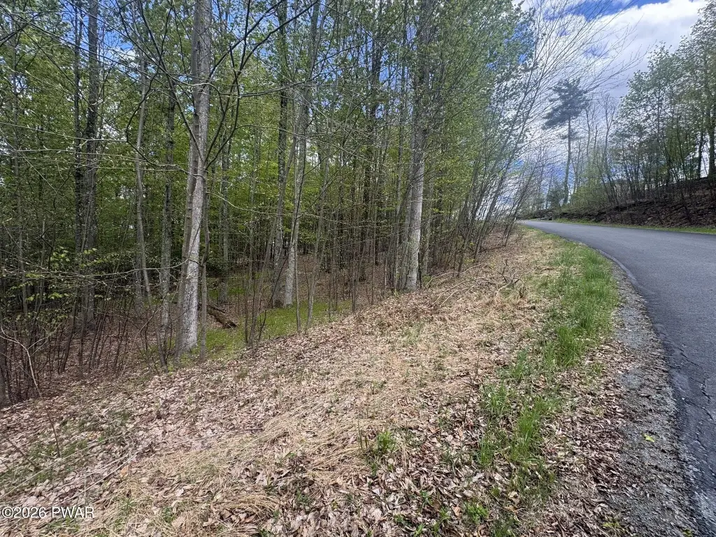 Picture 15