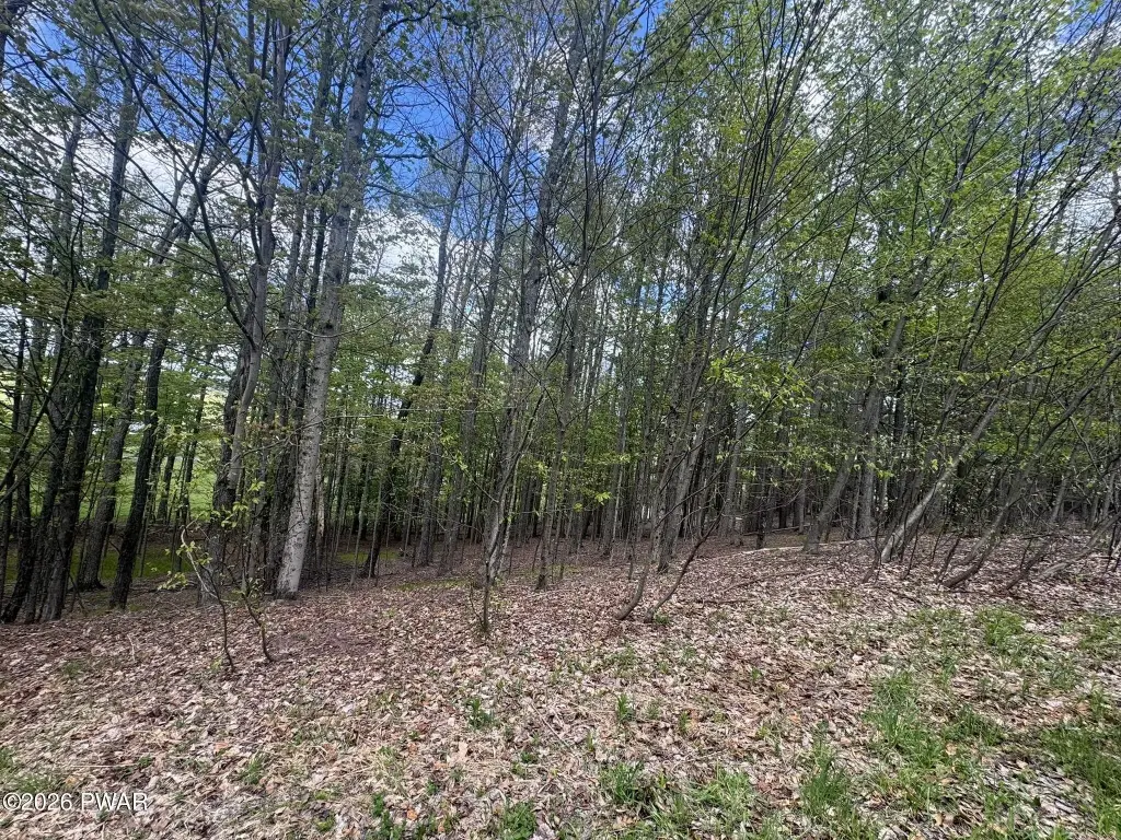 Picture 4