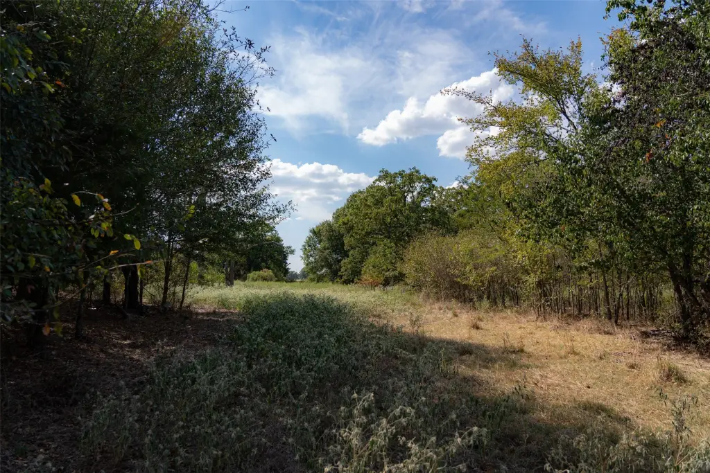 Picture 34