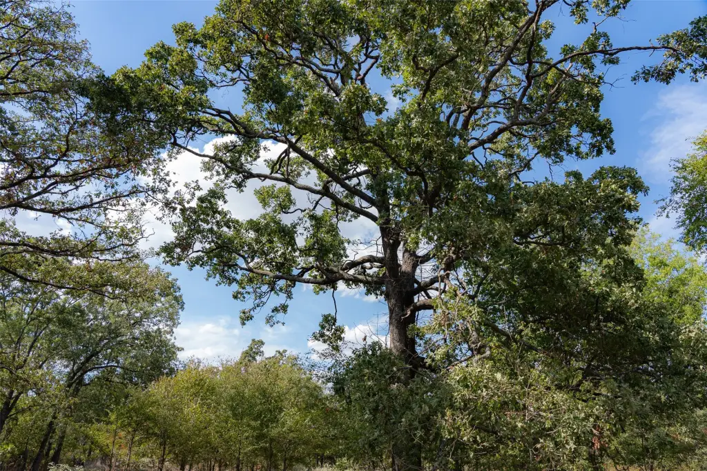 Picture 36
