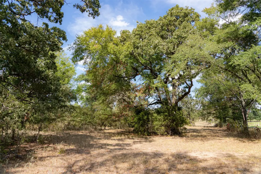Picture 33