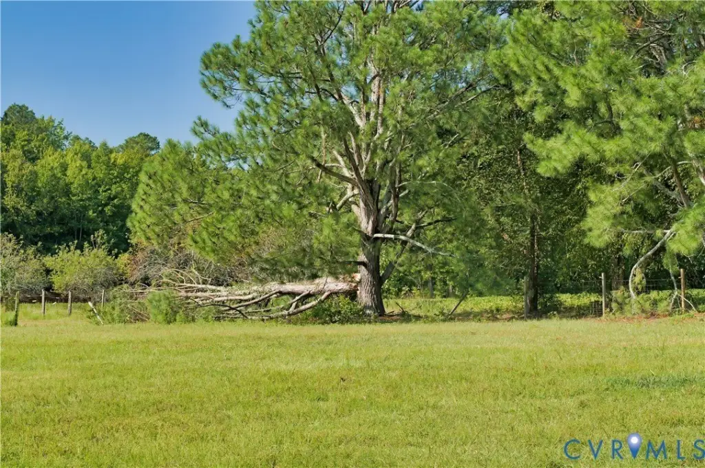 Picture 45