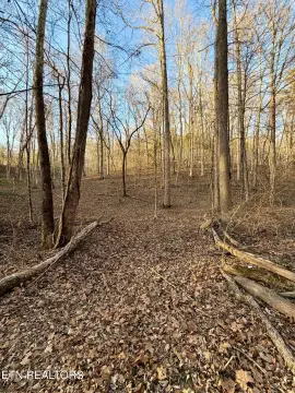 Secluded Wooded Land Near Tellico