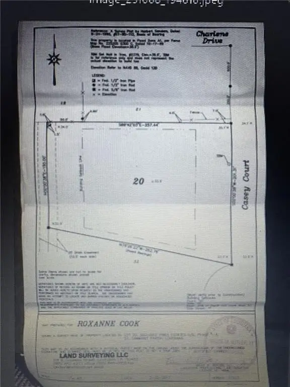 Picture 5
