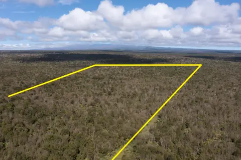 93 Acres of Unspoiled Land