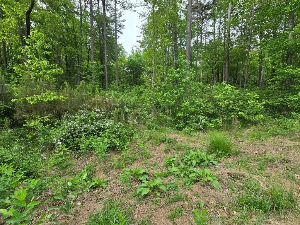Picture 13