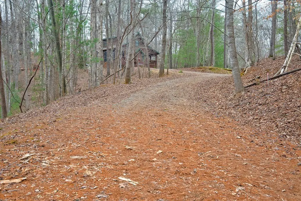 Picture 21