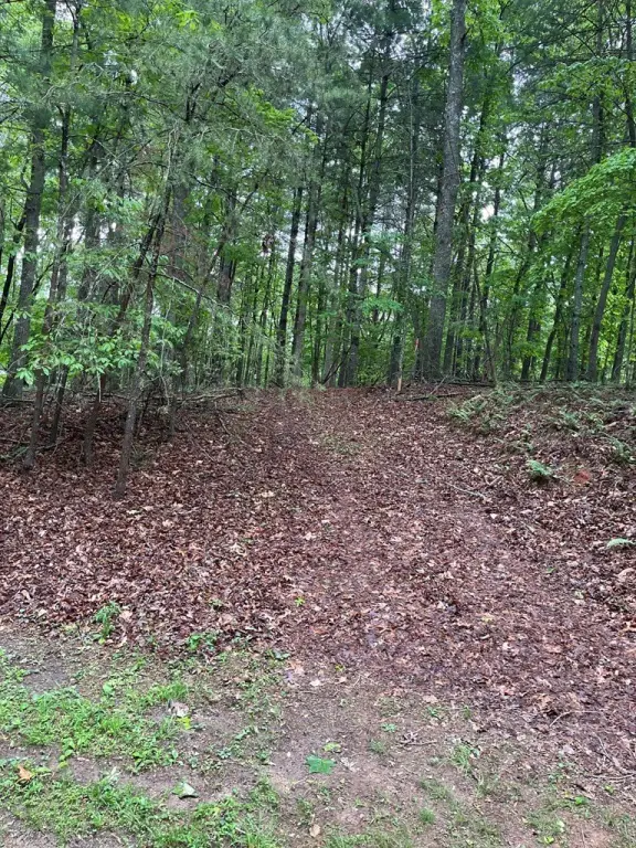 Picture 3