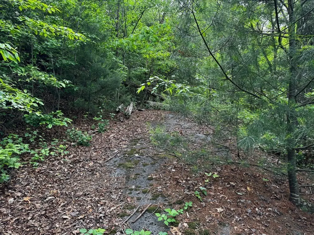 Picture 4