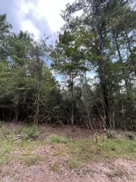 Residential Land Near Lake Sam