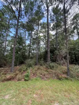 Lake Sam Rayburn Buildable Lot