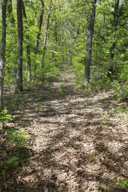 Picture 14