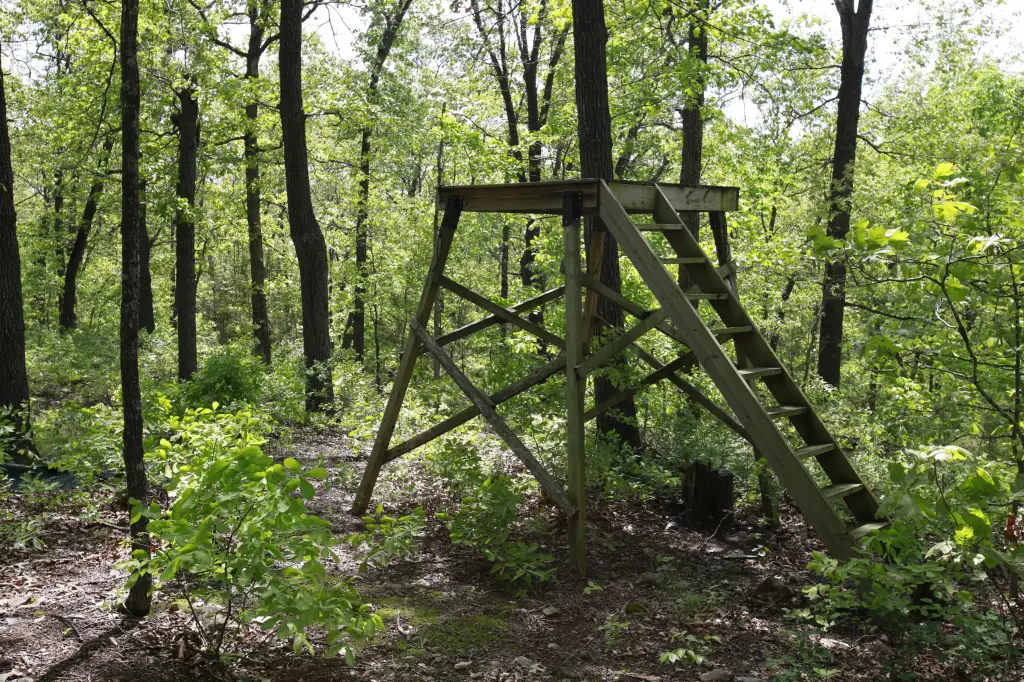 Picture 15