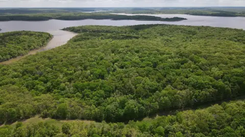 Secluded Timberland Near Truman Lake