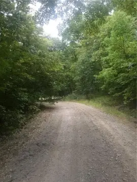 Secluded Wooded Land Near Lake