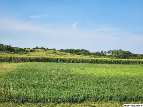 Rockford Acreage: Build Your Dream